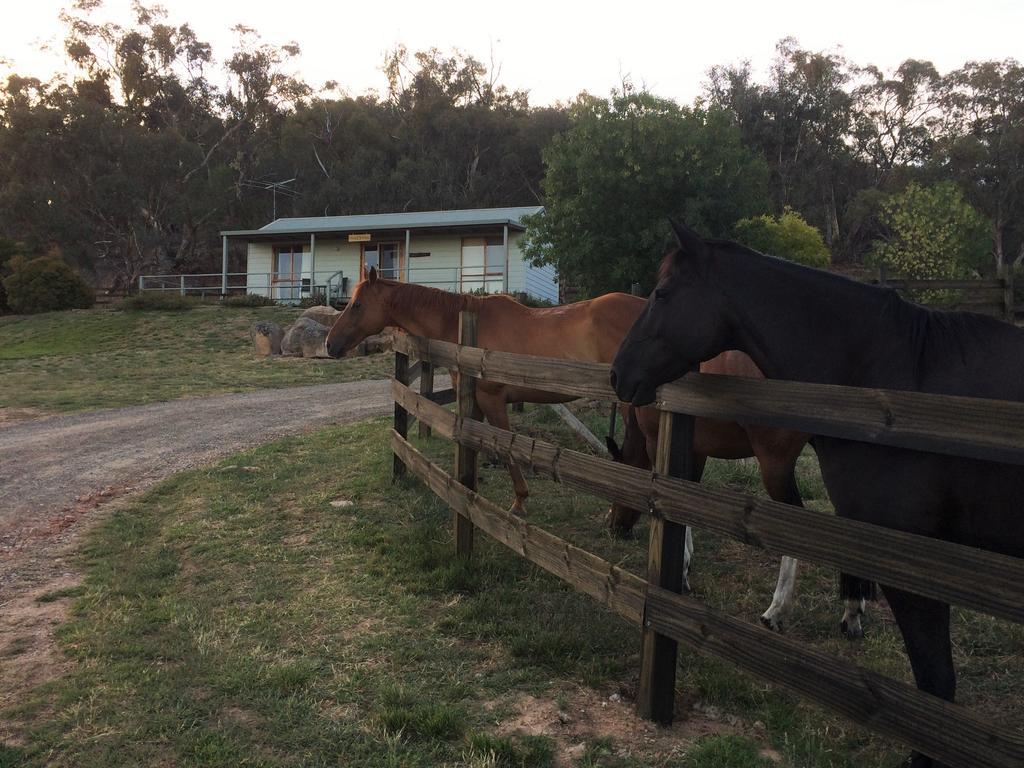 Warby Cottage Wangaratta Buitenkant foto