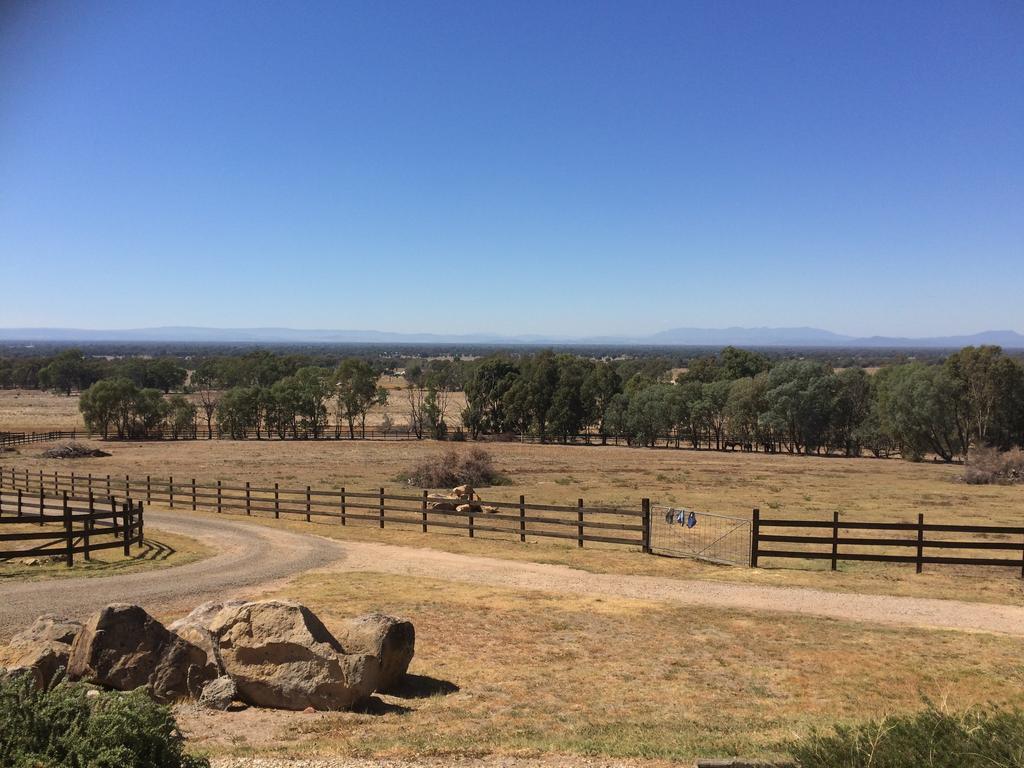 Warby Cottage Wangaratta Buitenkant foto